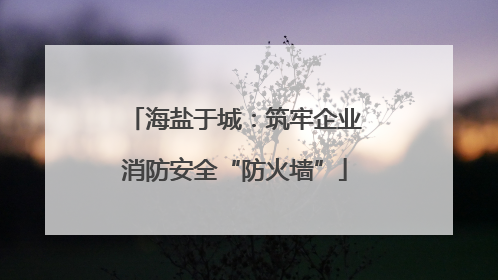 海盐于城：筑牢企业消防安全“防火墙”