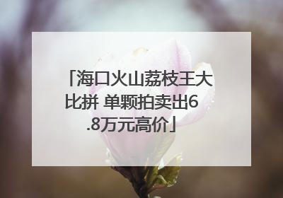 海口火山荔枝王大比拼 单颗拍卖出6.8万元高价