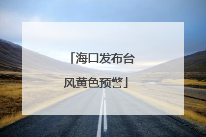 海口发布台风黄色预警