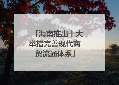 海南推出十大举措完善现代商贸流通体系
