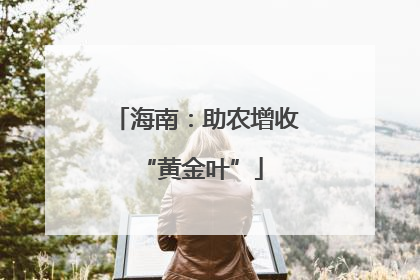 海南：助农增收 “黄金叶”