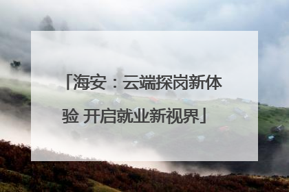 海安：云端探岗新体验 开启就业新视界