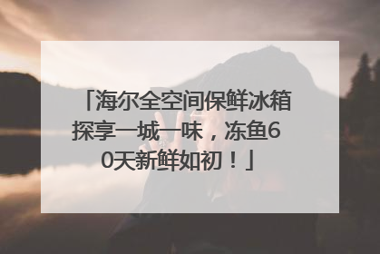 海尔全空间保鲜冰箱探享一城一味，冻鱼60天新鲜如初！