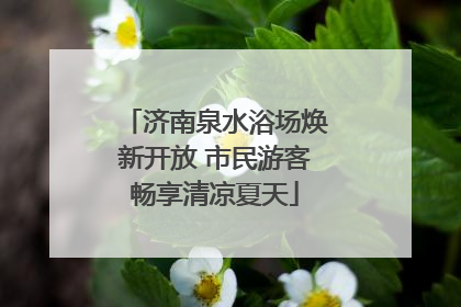 济南泉水浴场焕新开放 市民游客畅享清凉夏天