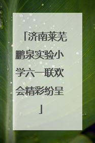 济南莱芜鹏泉实验小学六一联欢会精彩纷呈