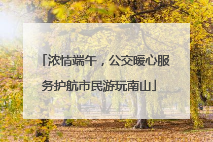 浓情端午，公交暖心服务护航市民游玩南山