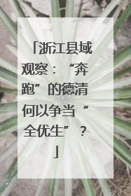 浙江县域观察：“奔跑”的德清何以争当“全优生”？