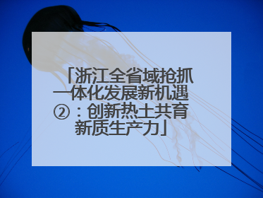 浙江全省域抢抓一体化发展新机遇②：创新热土共育新质生产力