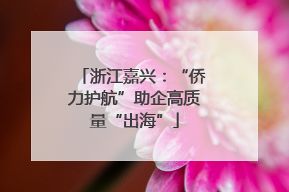 浙江嘉兴：“侨力护航”助企高质量“出海”