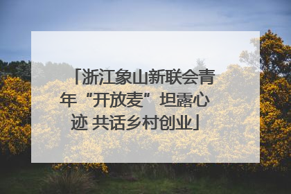 浙江象山新联会青年“开放麦”坦露心迹 共话乡村创业