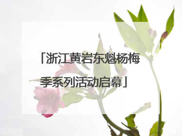 浙江黄岩东魁杨梅季系列活动启幕