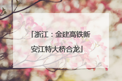 浙江：金建高铁新安江特大桥合龙
