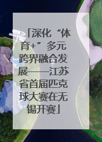 深化“体育+”多元跨界融合发展——江苏省首届匹克球大赛在无锡开赛