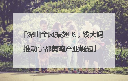 深山金凤振翅飞，钱大妈推动宁都黄鸡产业崛起