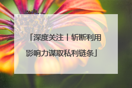 深度关注丨斩断利用影响力谋取私利链条
