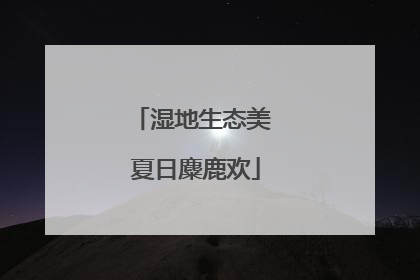 湿地生态美 夏日麋鹿欢