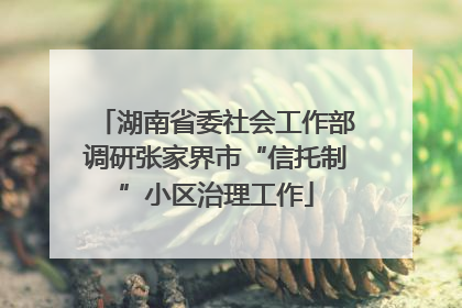 湖南省委社会工作部调研张家界市“信托制”小区治理工作