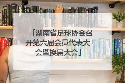 湖南省足球协会召开第六届会员代表大会暨换届大会
