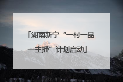 湖南新宁“一村一品一主播”计划启动