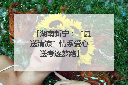 湖南新宁：“夏送清凉”情系爱心送考逐梦路