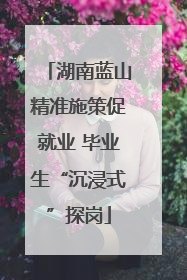 湖南蓝山精准施策促就业 毕业生“沉浸式”探岗