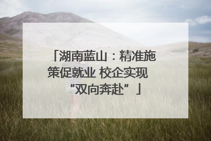 湖南蓝山：精准施策促就业 校企实现“双向奔赴”
