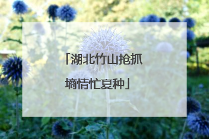 湖北竹山抢抓墒情忙夏种