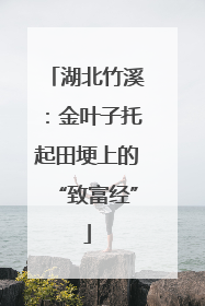 湖北竹溪：金叶子托起田埂上的“致富经”
