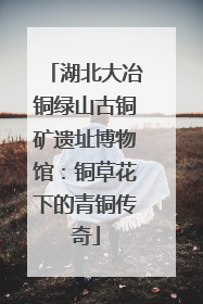 湖北大冶铜绿山古铜矿遗址博物馆：铜草花下的青铜传奇