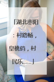 湖北枣阳：村路畅，皇桃俏，村民乐……