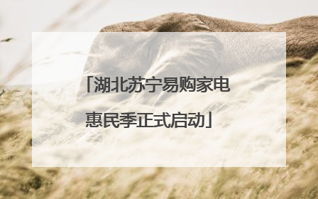 湖北苏宁易购家电惠民季正式启动