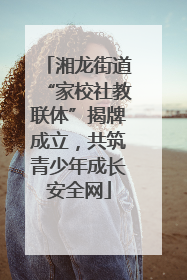 湘龙街道“家校社教联体”揭牌成立，共筑青少年成长安全网