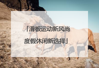 滑板运动新风尚 度假休闲新选择