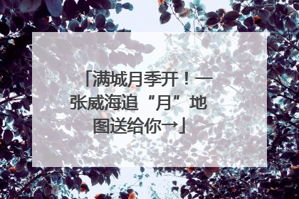 满城月季开！一张威海追“月”地图送给你→