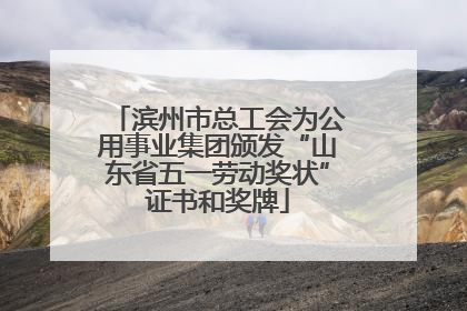 滨州市总工会为公用事业集团颁发“山东省五一劳动奖状”证书和奖牌
