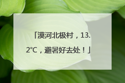 漠河北极村，13.2℃，避暑好去处！