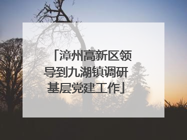 漳州高新区领导到九湖镇调研基层党建工作