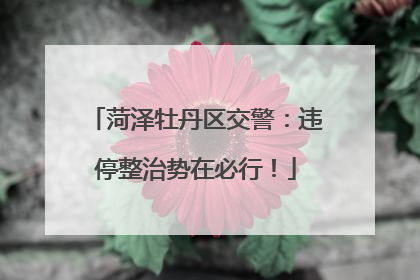 菏泽牡丹区交警：违停整治势在必行！