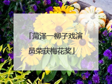 菏泽一柳子戏演员荣获梅花奖