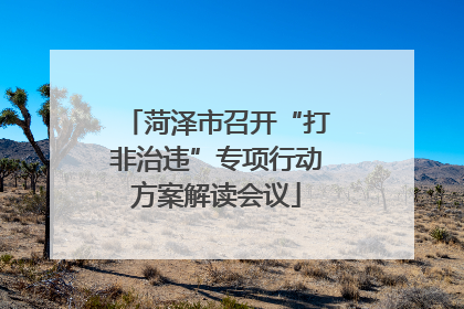 菏泽市召开“打非治违”专项行动方案解读会议