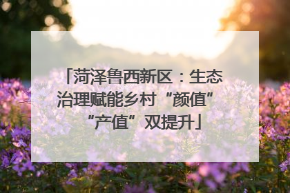 菏泽鲁西新区：生态治理赋能乡村“颜值”“产值”双提升