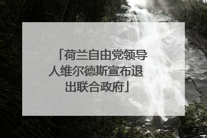 荷兰自由党领导人维尔德斯宣布退出联合政府