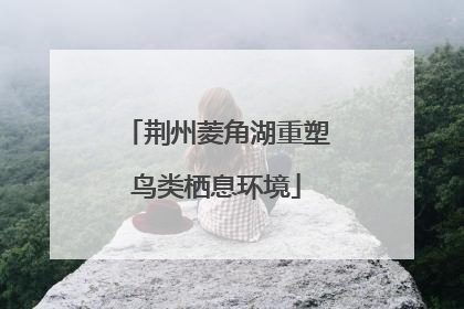 荆州菱角湖重塑鸟类栖息环境