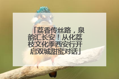 荔香传丝路，泉韵汇长安！从化荔枝文化季西安行开启双城甜蜜对话