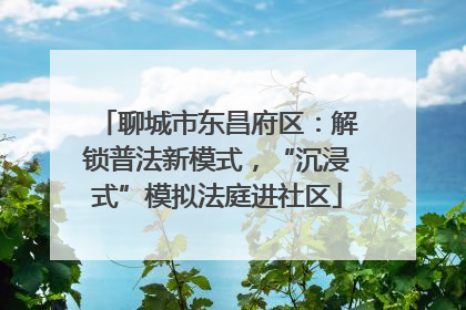 聊城市东昌府区：解锁普法新模式，“沉浸式”模拟法庭进社区