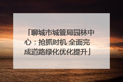 聊城市城管局园林中心:抢抓时机 全面完成道路绿化优化提升