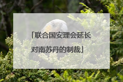 联合国安理会延长对南苏丹的制裁