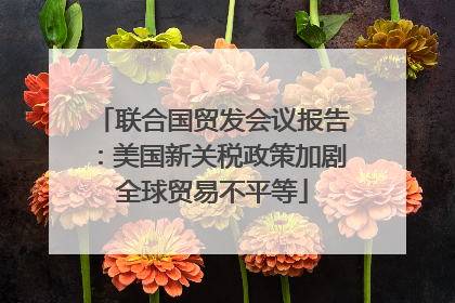 联合国贸发会议报告：美国新关税政策加剧全球贸易不平等