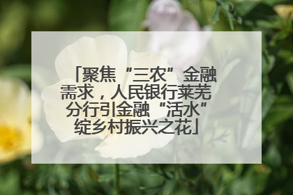 聚焦“三农”金融需求，人民银行莱芜分行引金融“活水”绽乡村振兴之花