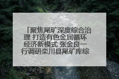 聚焦尾矿深度综合治理 打造有色金属循环经济新模式 张金良一行调研栾川县尾矿库综合治理工作